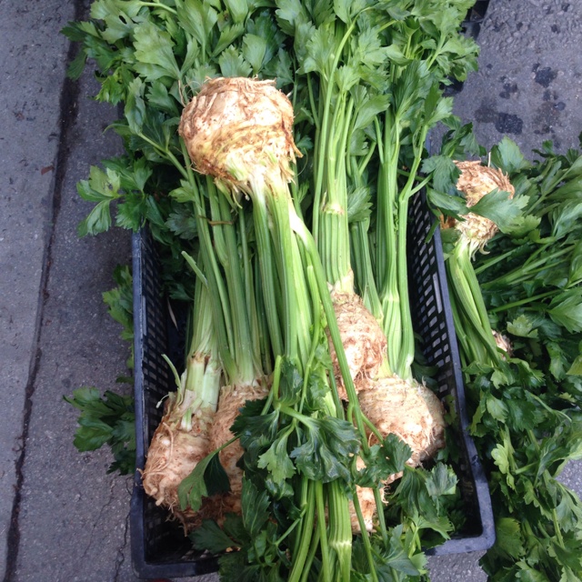 Ţelină, Foto: specialtyproduce.com