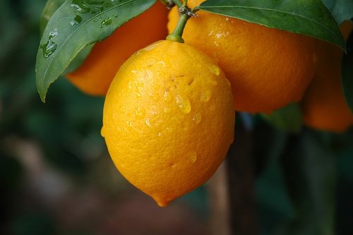Lămâi, Foto: bessergesundleben.de