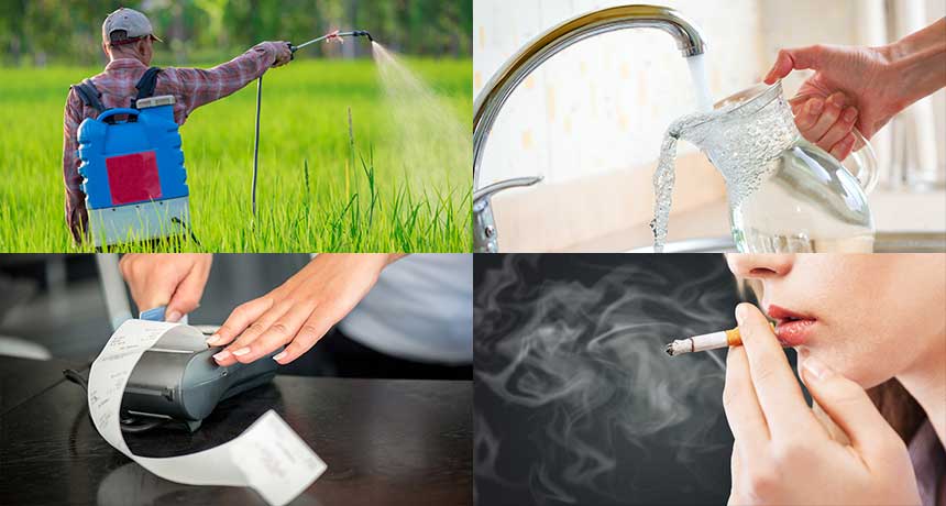 6-program-de-detoxifierea-organismului