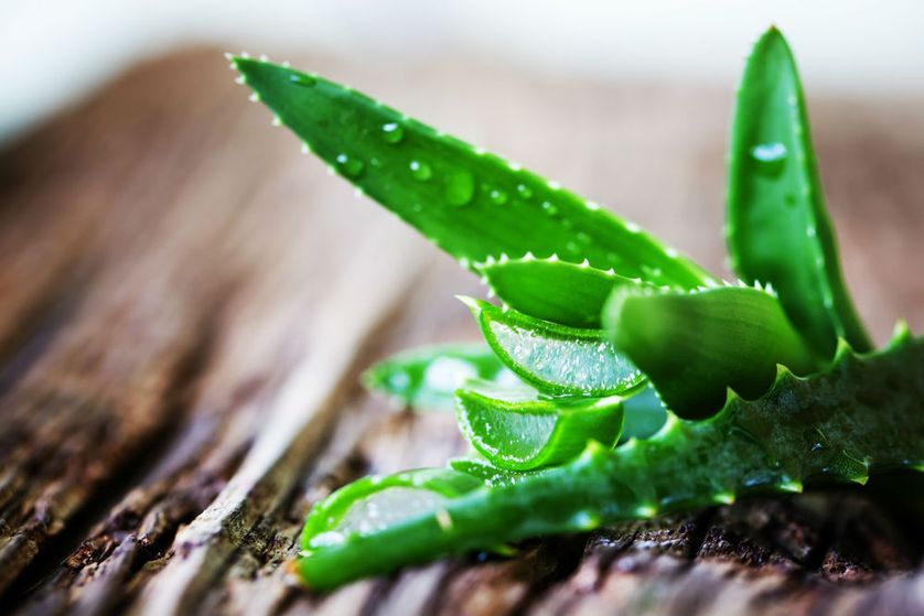 13-aloe-vera