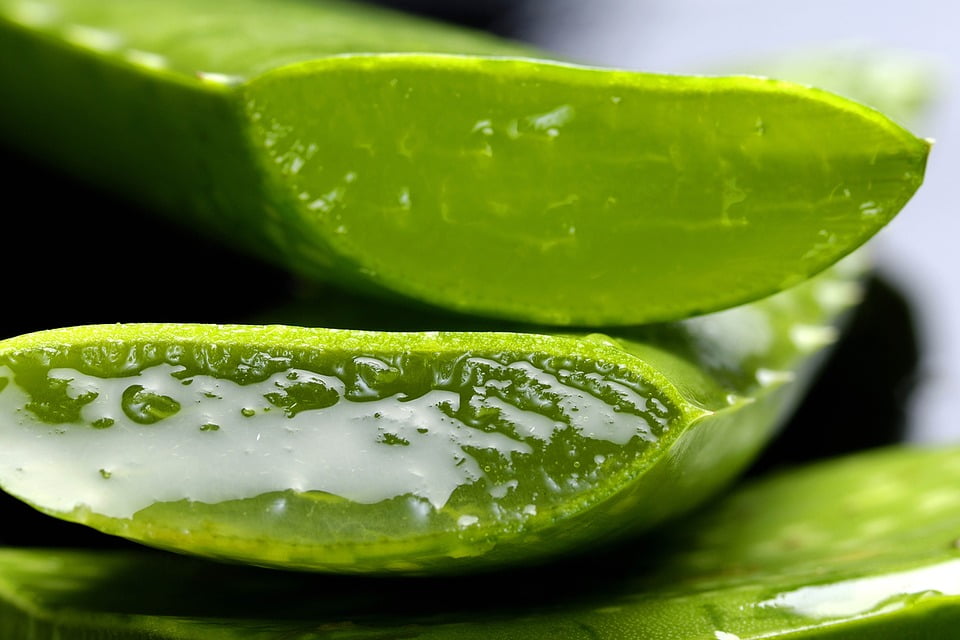 3-gel-aloe-vera