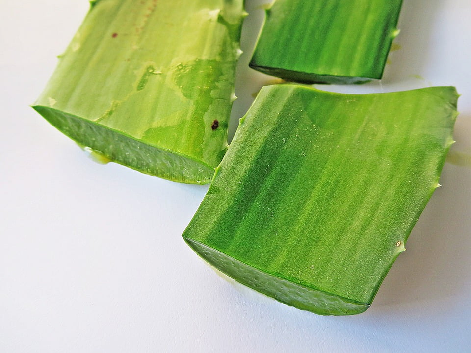 6-gel-aloe-vera-din-frunzele-plantei