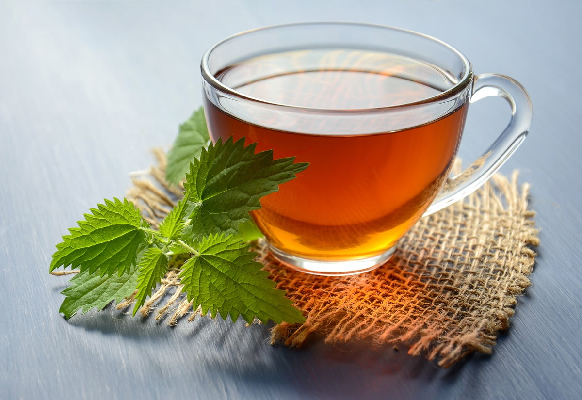 Ceaiul de urzică: 22 de utilizări pentru sănătatea organismului - BodyGeek