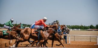 Cum să câștigi prin sport… și nu doar condiție fizică curse de cai