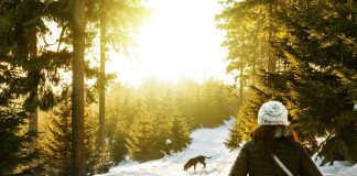 Distracțiile sunt și ele sănătoase – Cum vă puteți relaxa mintea în timpul acestei pandemii?