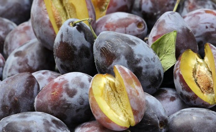 1-prune