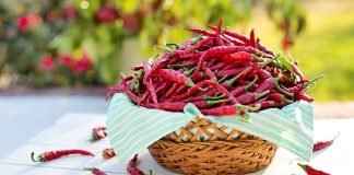 Ulei de ardei iute – Beneficii pentru sănătatea organismului