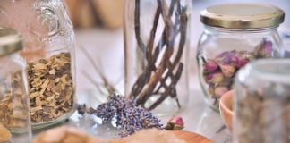 Cum ajută plantele medicinale la reglarea sistemului endocrin?