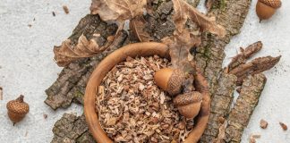 Infuzia din scoarță de stejar – Cum ajută corpul și părul cu beneficiile sale uimitoare?