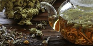 Ceai de munte din Scardica sideritis – Aliatul imunității tale și scutul împotriva bolii Alzheimer