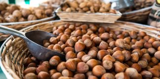 Ulei de alune – Hidratează pielea și susține sănătatea organismului