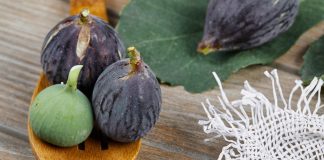 Smochinele în cosmetică – proprietăți antiinflamatorii și antibacteriene