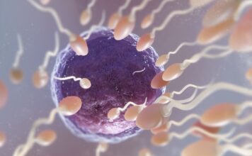 Inseminarea artificială – O metodă simplă pentru cuplurile care își doresc un copil