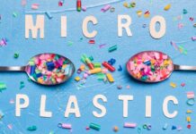 Cercetătorii trag un semnal de alarmă: Microplasticele pot afecta funcțiile creierului