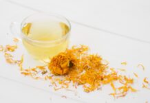 Ulcerul gastric – Tratamente tradiționale bazate pe plante medicinale
