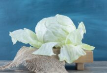 Proprietățile vindecătoare ale frunzelor de varză pentru piele, articulații și organe