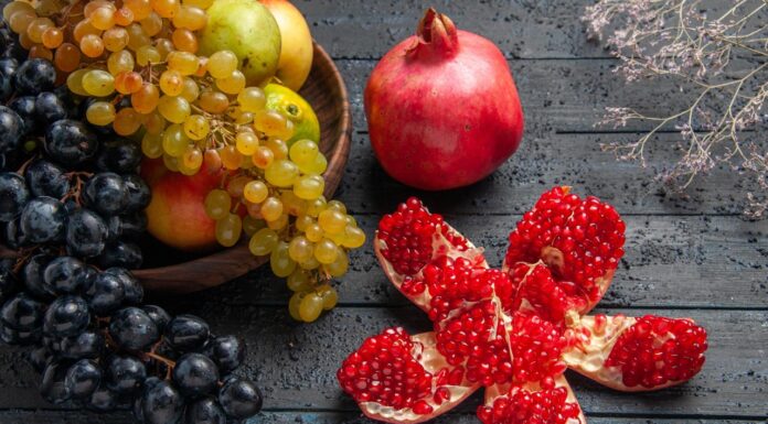 Polifenolii vegetali – Antioxidanți puternici care pot înlocui antibioticele