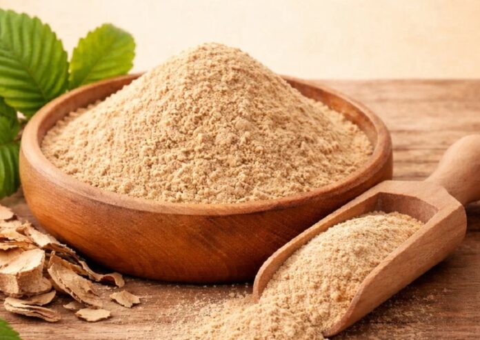 1-pudra-ulm-alunecos