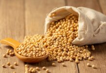 Dieta cu soia: cum te ajută soia să slăbești și să-ți îmbunătățești sănătatea