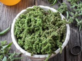 Semințele de urzică – Tonic natural pentru energie și vitalitate